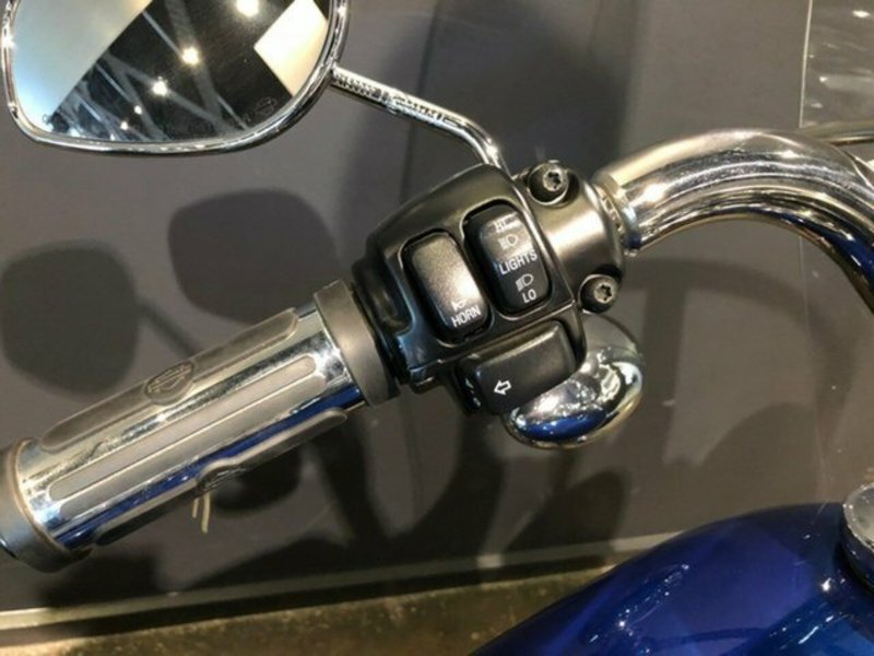 2009 HARLEY-DAVIDSON FLSTF Fat Boy