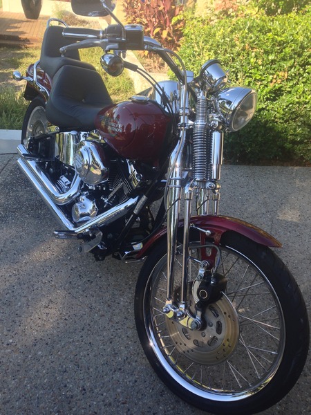 2006 HARLEY-DAVIDSON SPRINGER
