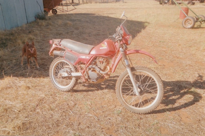1987 HONDA 200CC XR200R