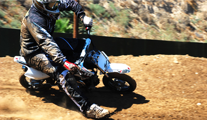 2012 PITSTER PRO XJR 50 SS STOCKER