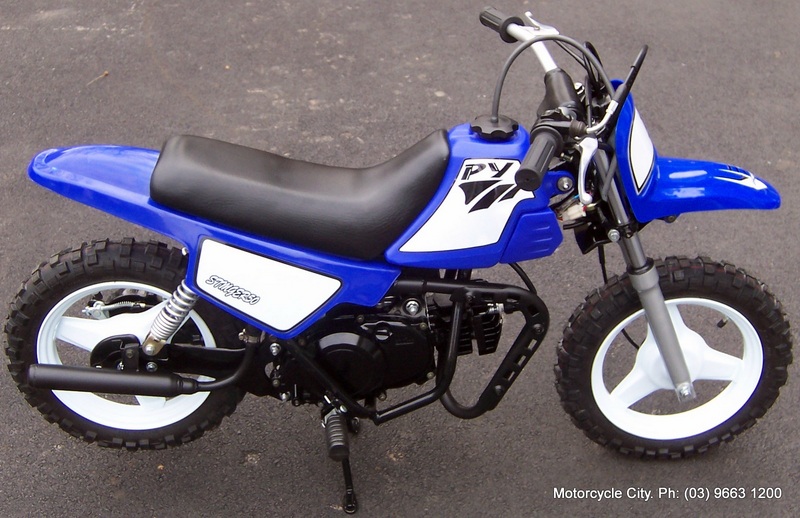 2010 Sunteck PY 50 Mini Bike 1234