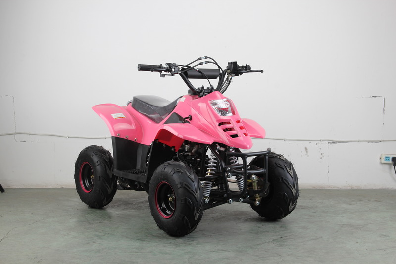 2017 Mini ATV 110cc