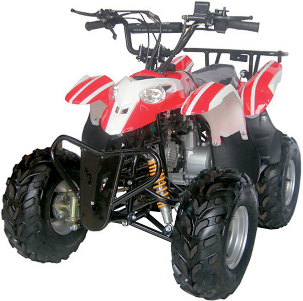 2010 LEI SHARK 110 $750