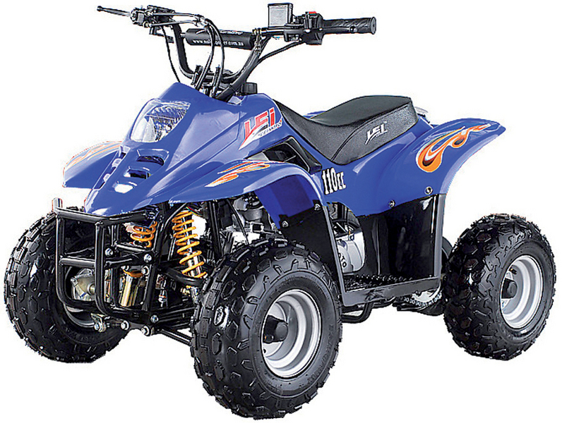 2010 LEI STORM 110 $600