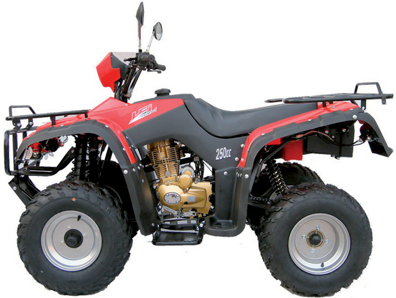 2010 LEI STORM 250 $2500