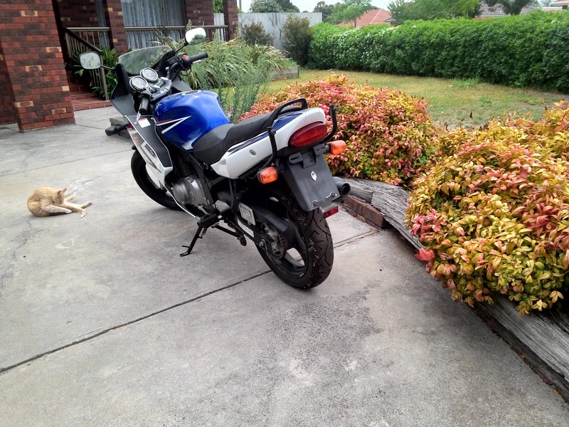 2008 SUZUKI 500CC GS500F (FULL FAIRING) K7