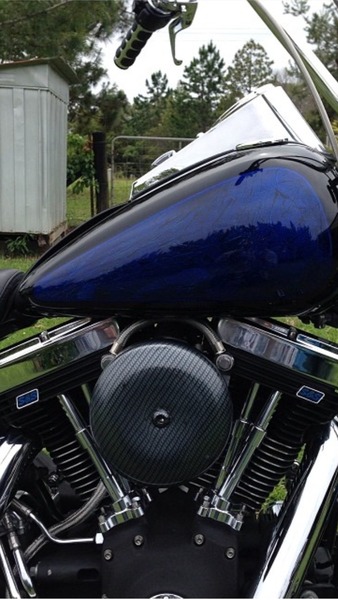 2008 HARLEY-DAVIDSON CUSTOM SOFTAIL