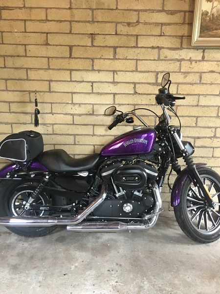 2014 HARLEY-DAVIDSON 883CC XL883 IRON 883 MY14