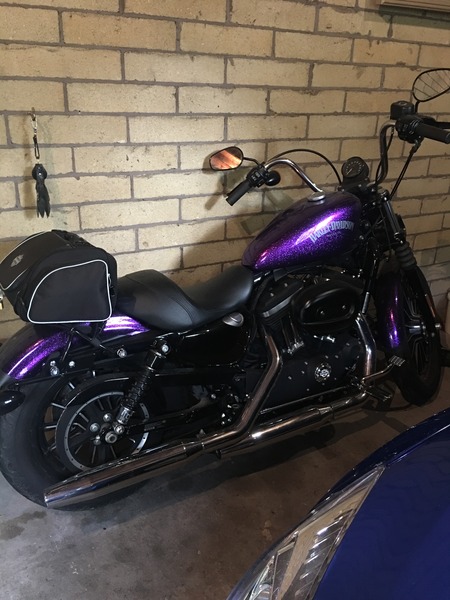 2014 HARLEY-DAVIDSON 883CC XL883 IRON 883 MY14