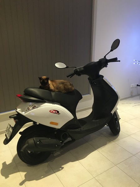 2013 PIAGGIO 50CC ZIP 50 C25