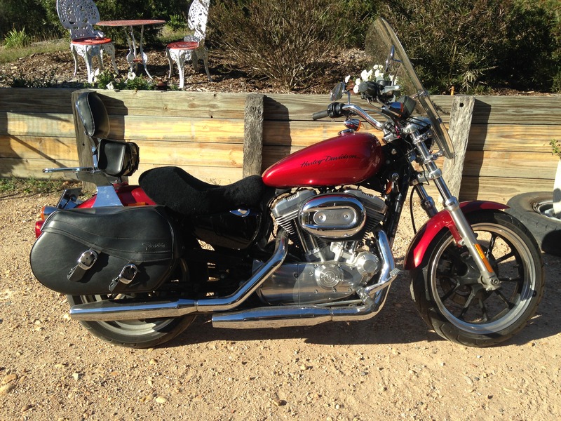 2012 HARLEY-DAVIDSON 883CC XL883L SUPER LOW MY12