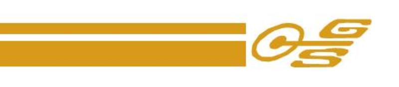 STRIPE KIT XW XY GS FALCON GOLD
