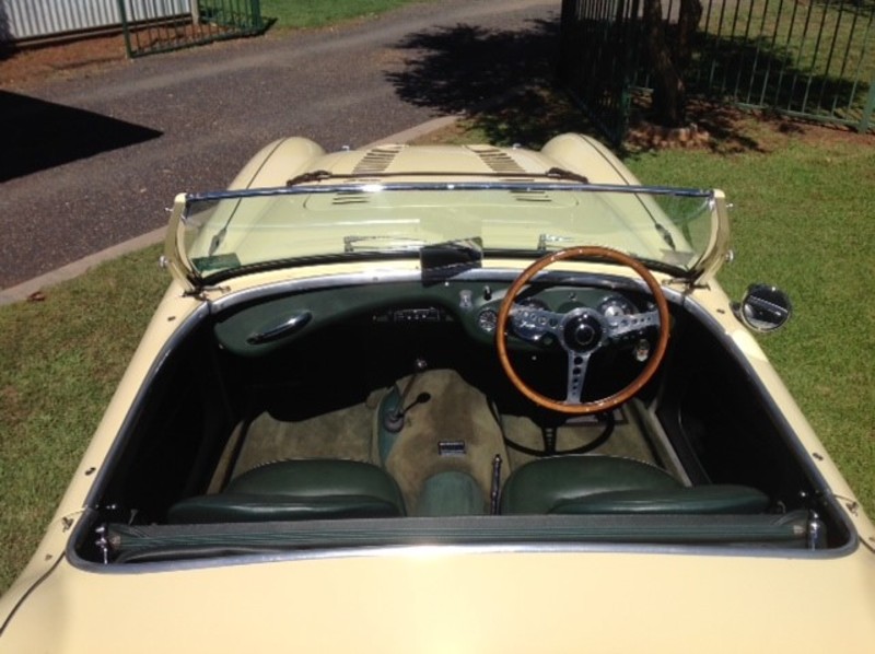 1954 AUSTIN HEALEY 100 BN1