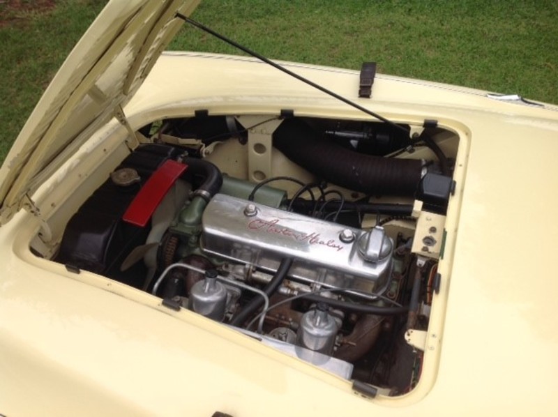 1954 AUSTIN HEALEY 100 BN1