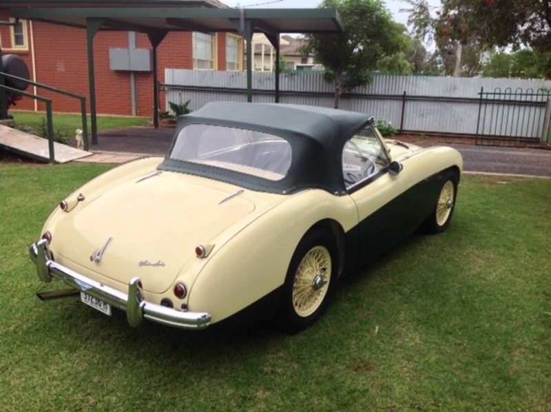 1954 AUSTIN HEALEY 100 BN1