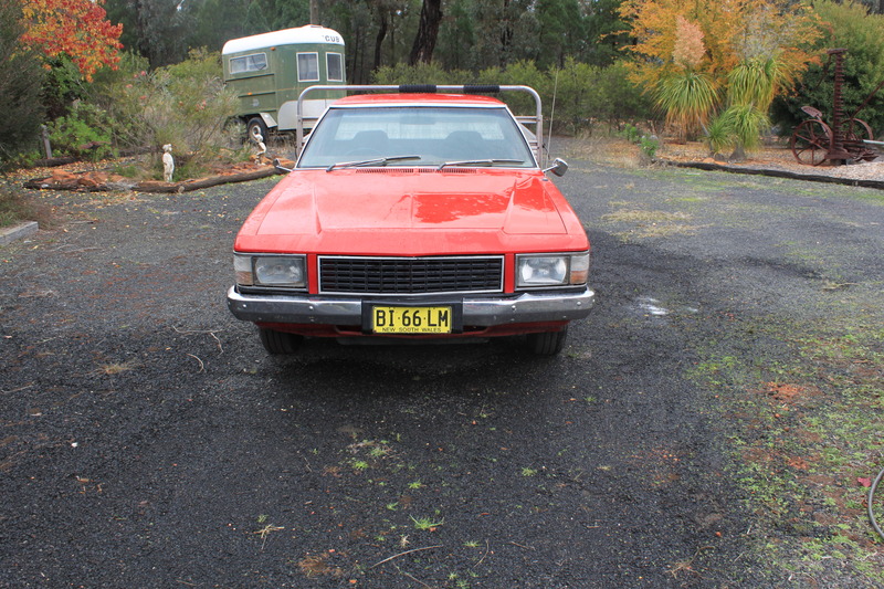 1982 HOLDEN WB UTE
