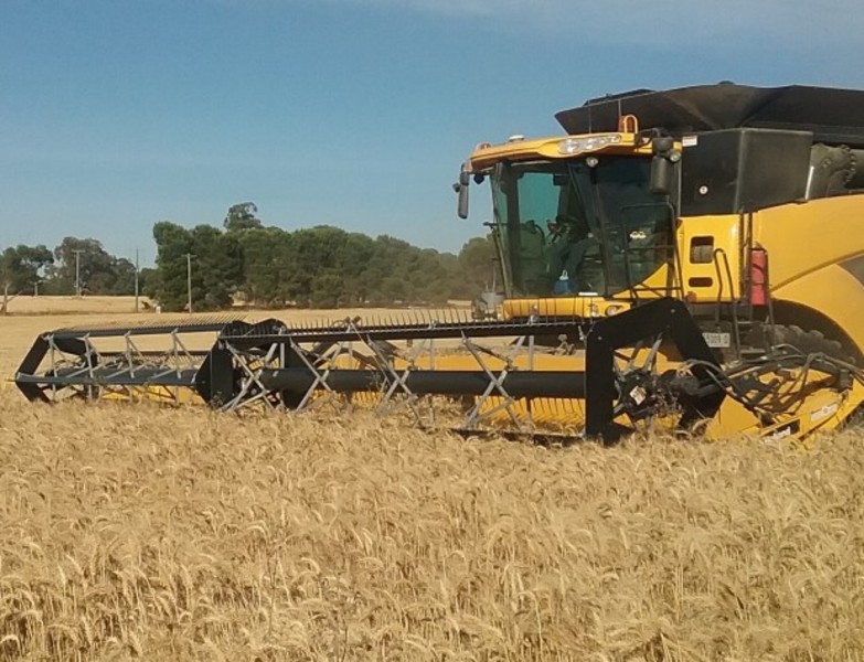 Honey Bee 94C Harvester Header