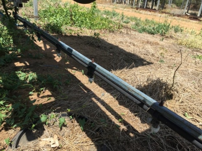 Custom 12m boom Sprayer