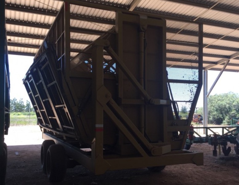 Avon Boll Buggy 