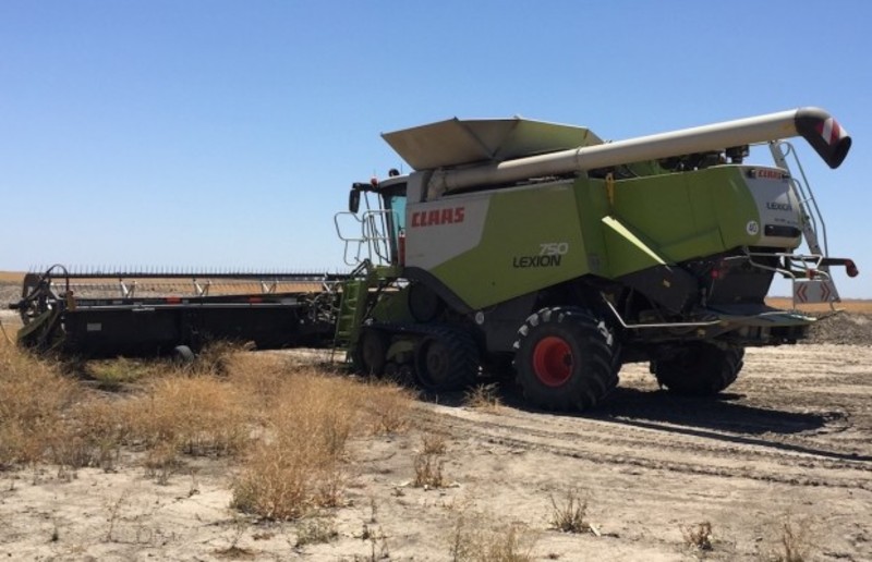 Claas Lexion 750TT HARVESTER