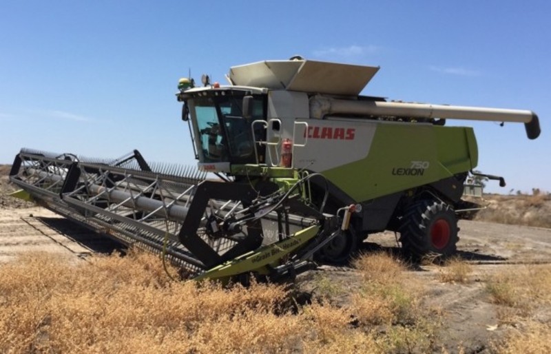 Claas Lexion 750TT HARVESTER