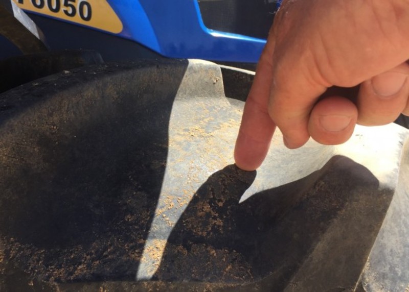 NEW HOLLAND T6050 plus Tractor
