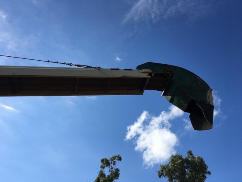 Walsh & Ford 82x9 Belt GRAIN AUGER