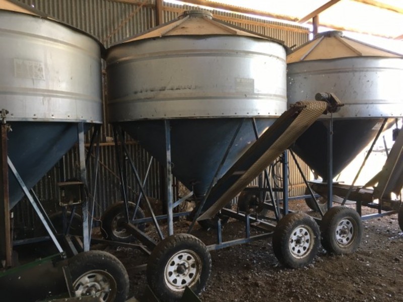 Hayes N-Buggy SILO