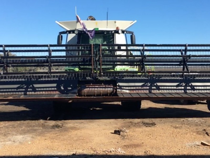 Claas LEXION 740 Harvester