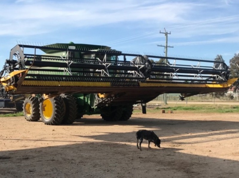 Honey Bee 40' Harvester