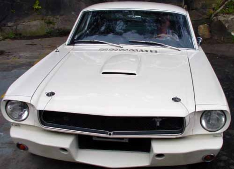 Ford Mustang 65-66 Shelby style bonnet