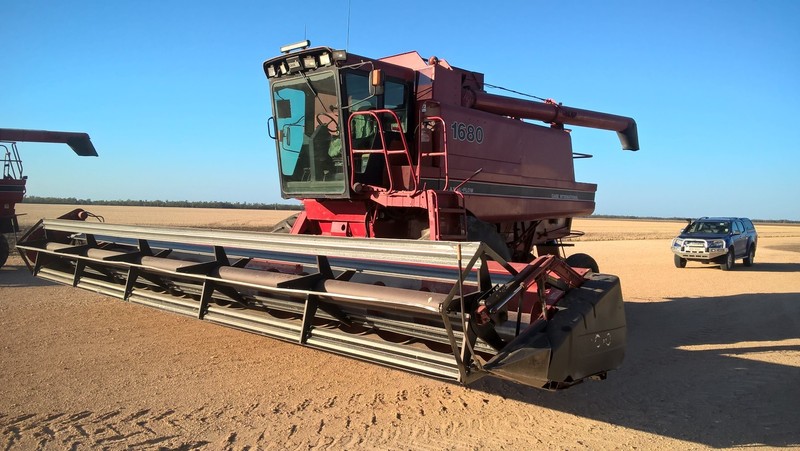 Case IH 1680 Harvester-Header