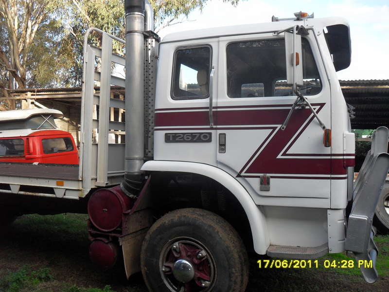 1981 INTERNATIONAL
