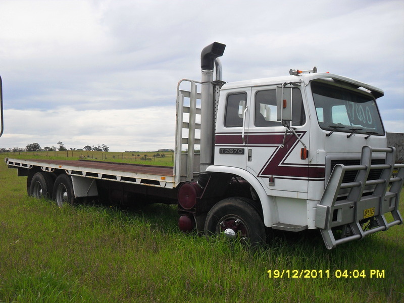 1981 INTERNATIONAL