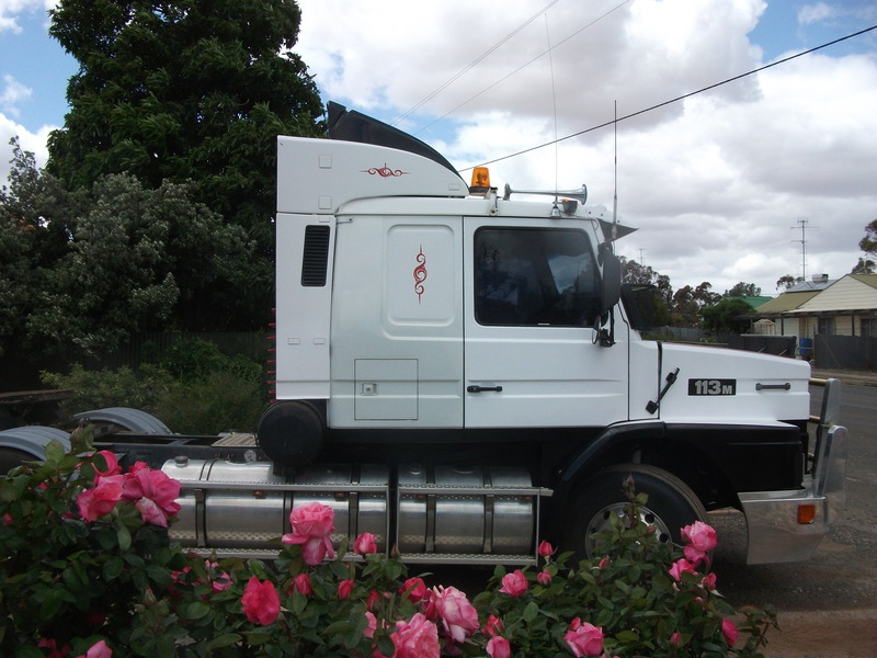 1995 SCANIA T113 M (6x4)