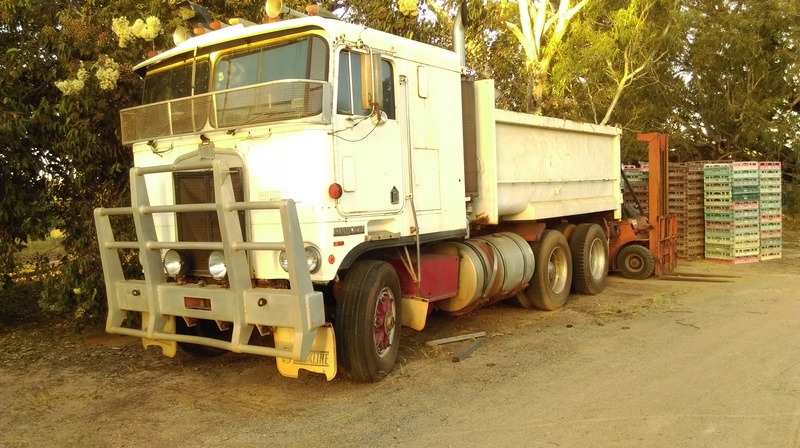 1995 KENWORTH K 300L (6x2)