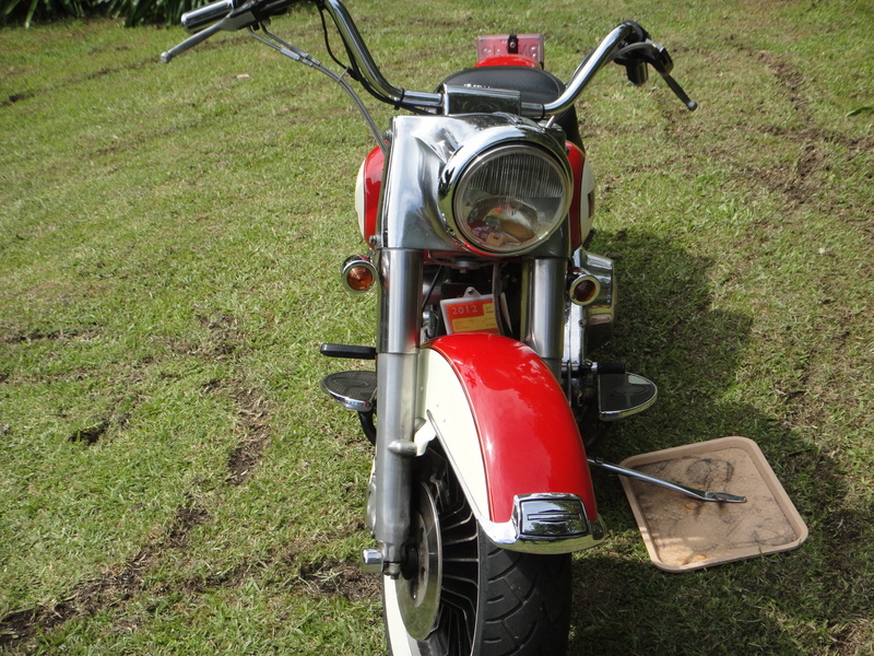 1969 HARLEY-DAVIDSON FL SHOVELHEAD