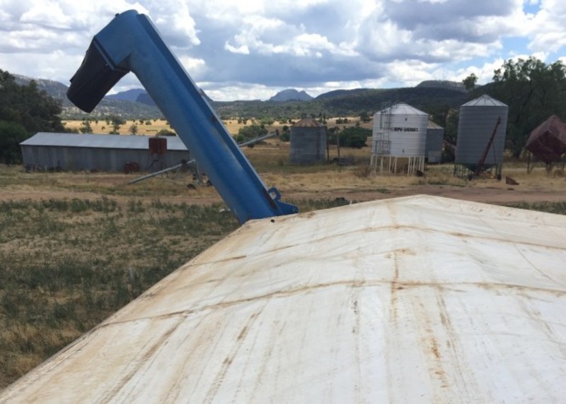 Finch 22T chaser bin