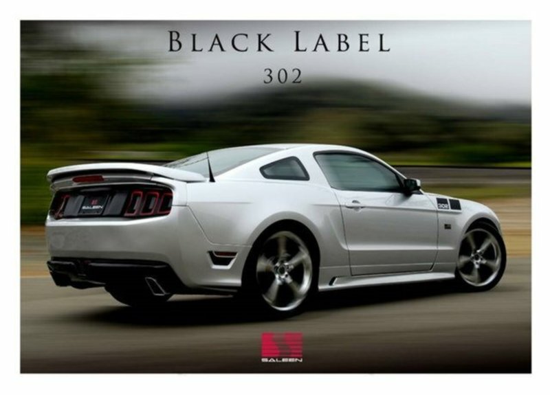 2013 FORD MUSTANG Saleen S302
