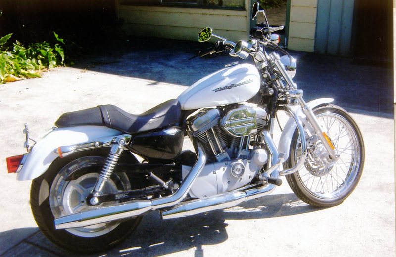 2006 HARLEY-DAVIDSON SPORTSTER CUSTOM XL883C