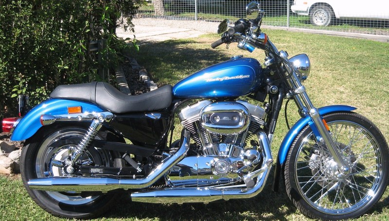 2005 HARLEY-DAVIDSON XL883C SPORTSTER CUSTOM