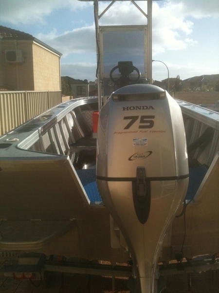 2010 BLUE FIN PLATE ALLOY Viking