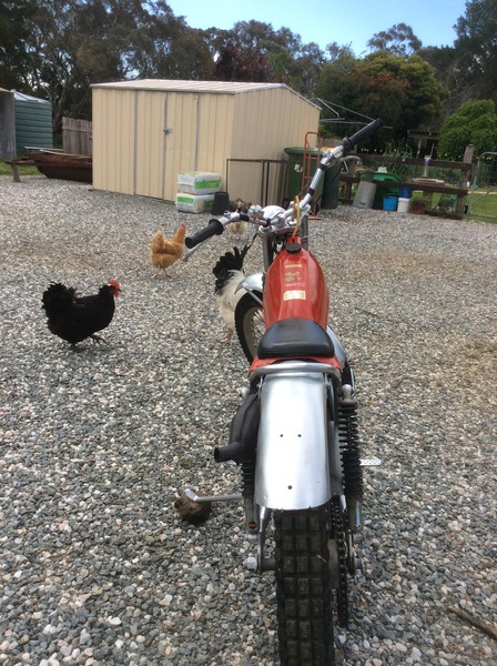 1972 MONTESA COTA 247 TRIALS