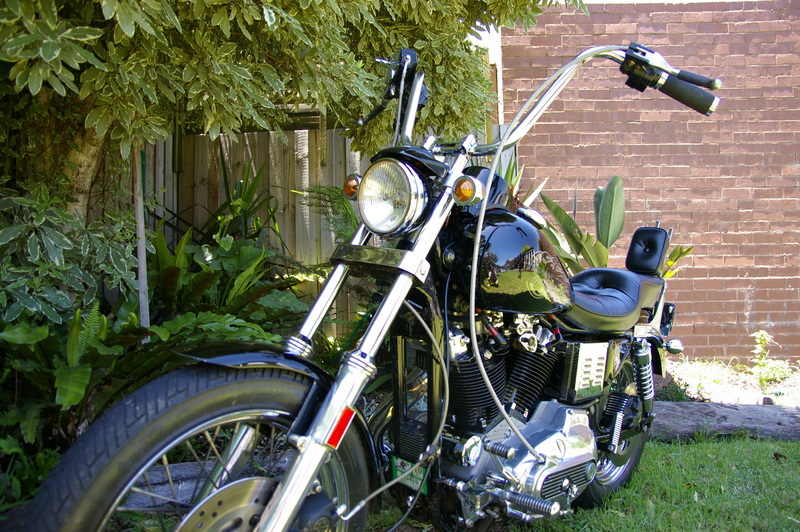 1984 HARLEY-DAVIDSON SPORTSTER XLH1000