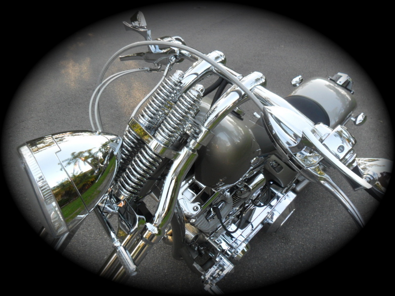 1988/11 HARLEY-DAVIDSON CUSTOM BUILT CHOPPER Softail