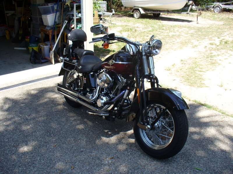 2005 HARLEY-DAVIDSON SOFTAIL FLSTSC SOFTAIL SPRINGER CLASSIC MY05