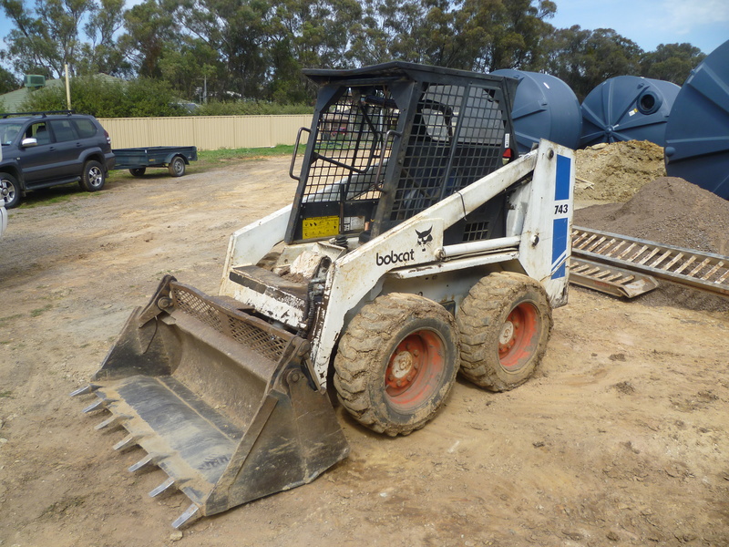 Bobcat