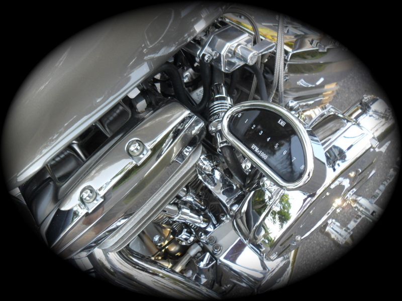 1988/11 HARLEY-DAVIDSON CUSTOM BUILT CHOPPER Softail