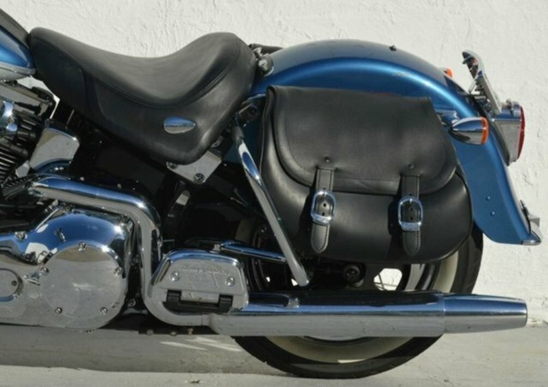 2005 HARLEY-DAVIDSON FLSTS Heritage Springer