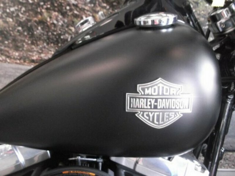 2013 HARLEY-DAVIDSON FLS Softail Slim 1700CC MY14
